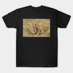 Prairie Dog T-Shirt